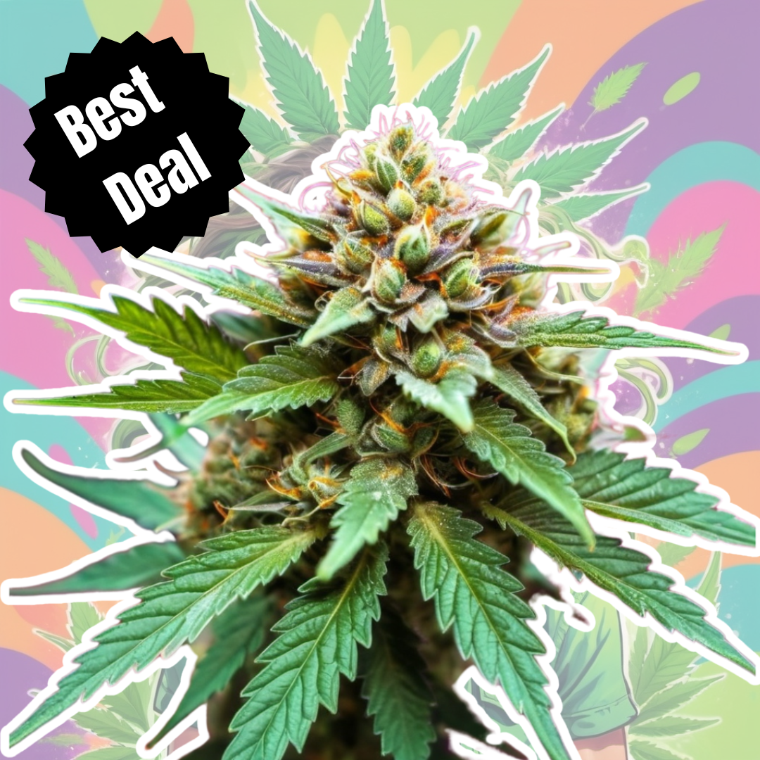 Surprise Strain of the Week